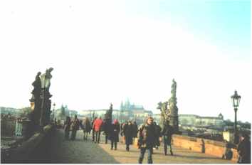 p8.jpg (6644 bytes)